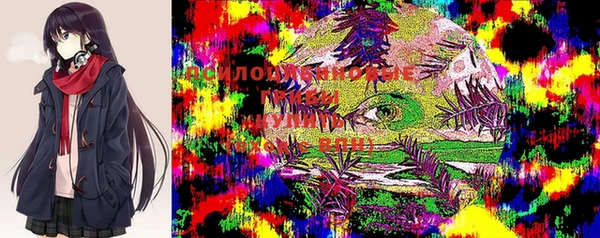 экстази Бронницы