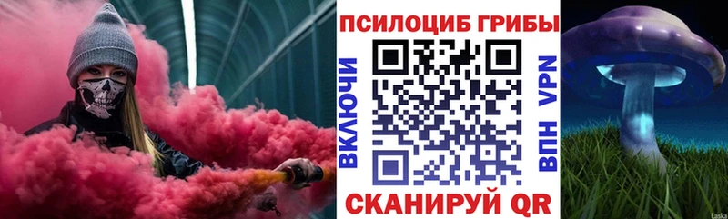 Псилоцибиновые грибы GOLDEN TEACHER  Конаково 